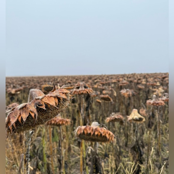 Meet your Posher, Parkerhause - Picture 1 of 1